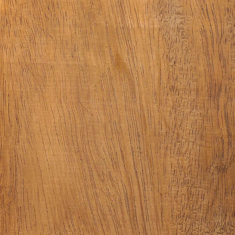 Cedro Arana