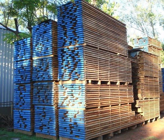 Cedro Arana - Image 3