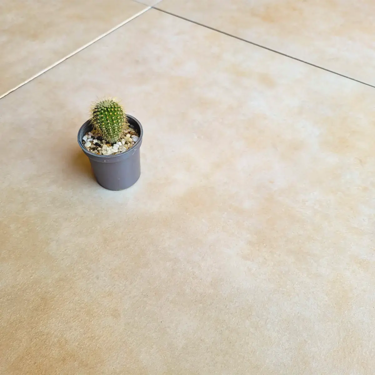 Piso Porcelanato Gloria Beige HD 53x53cm (2,00m2 x caja)