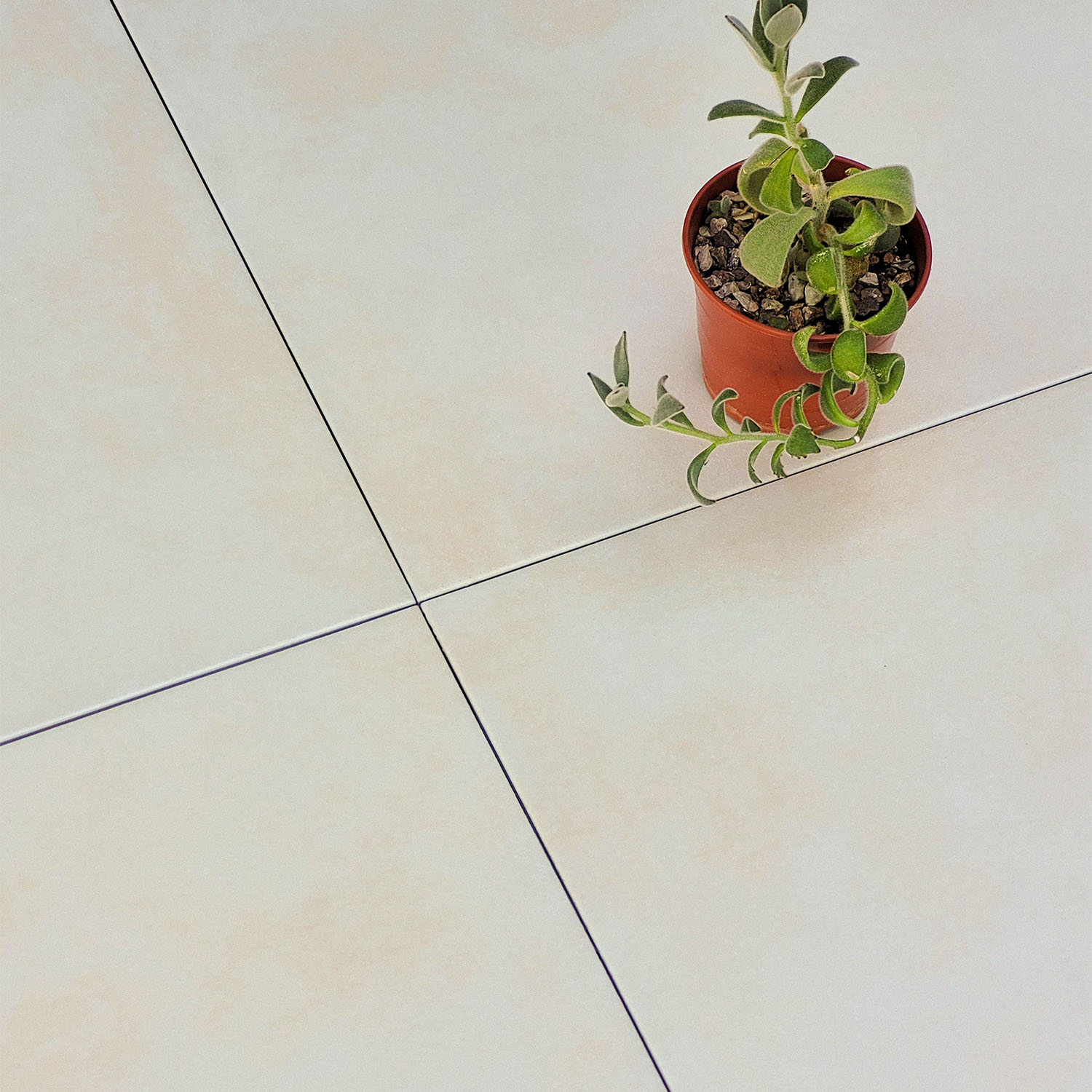 Piso Porcelanato Gloria Marfil HD 53x53cm (2,00m2 x caja)