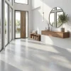 BGS AI1