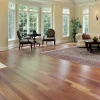Jatoba 2