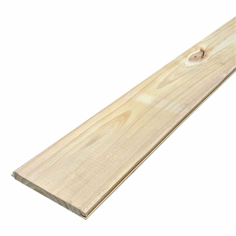 Pino