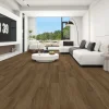 S19-Onyx